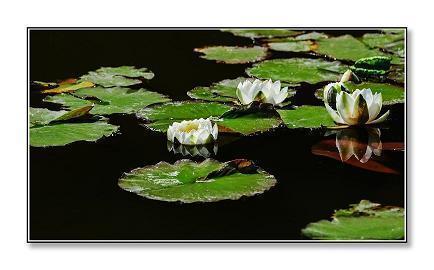 2021开学适合鼓舞孩子的话(精选74句)