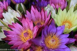 适合单身狗发的文案 单身发的搞笑说说锦集29句