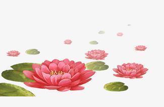 狼妻好词好句好段摘抄大全