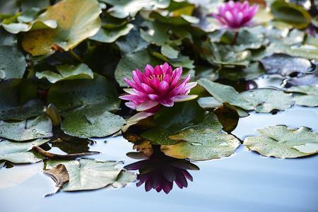 早安服装人的文案(精选32句)