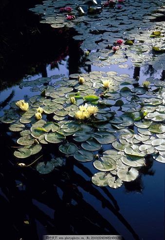 无奈难过的句子说说心情