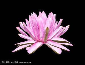 妹妹对哥哥失望的句子