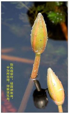 表示对某人心寒的说说 你变了，变得好像完全不认识