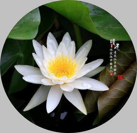 团购网站推广语：抢团购就组聚航