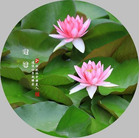 祝福祖国的话2021最火文案说说(精选109句)