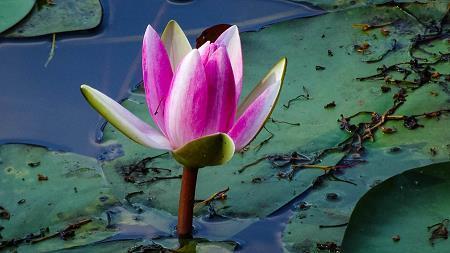 新年开工祝福最经典的文案说说71句