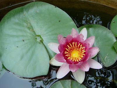 晚安语录情感语录推荐34句