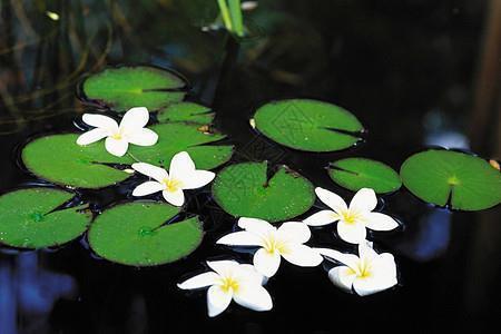 祝贺孩子高考考好开心的句子 孩子考好开心的句子