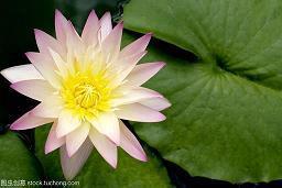 非常感人也非常煽情的一段话(精选42句)