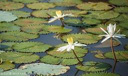 简短朴实高考祝福语2021年精选93句