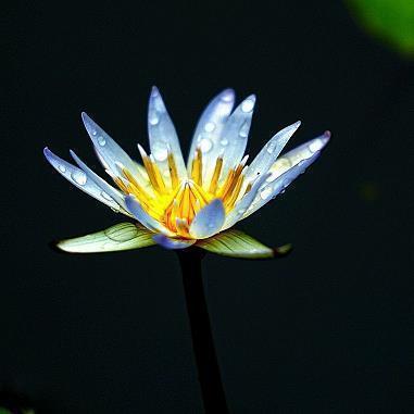 适合发圈的高情商文案 适合发朋友圈的文艺短句摘抄26句