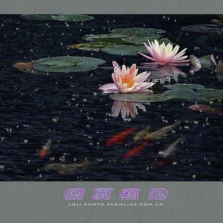 犹豫不决后悔的句子