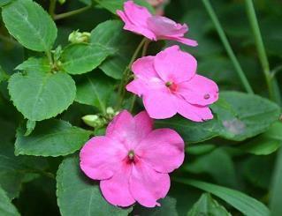男人心烦的成熟句子说说心情