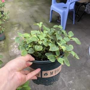 关于考试的说说