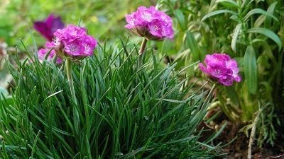 最吸引人的元旦晚会宣传标语(精选41句)