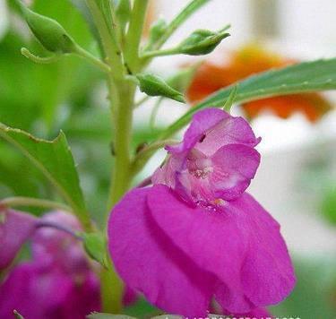 每天一段清晨励志语录 早安语录朋友圈励志(精选80句)