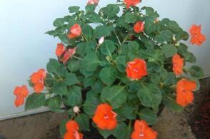 欺骗的说说心情短语 如你所见，事实在眼前容不得欺骗