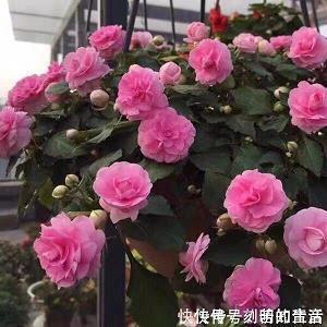 2020经典有哲理的早安心语 2020年最火的早安句子25句