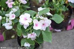 时光的短句唯美句子