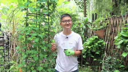积极向上的句子简短唯美精选57句