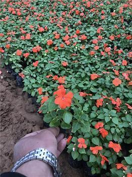 精辟短句给自己(精选56句)