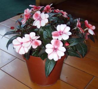 考完试轻松的个性说说大全49句