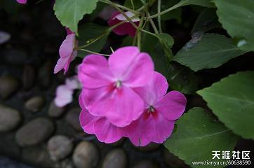 简单的早上好的句子 一句早上好暖心的话锦集26句