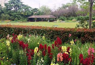 最美晚安心语 晚安问候语简短一句话合集65句