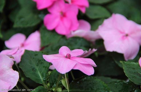 早晨温暖人心的句子