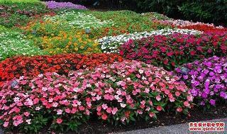 好的句子经典的句子摘抄短