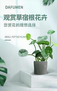 2021高考加油的文案和配图 关于高考的宝藏文案收录20句