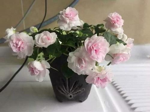 每日晨语青春励志语录合集39句