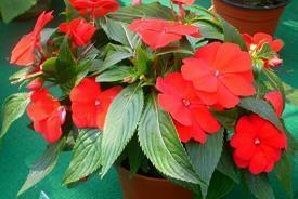 适合睡前发的说说收录24句