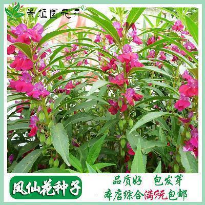 疲惫心累的句子