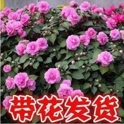 有关时间的诗句古诗 有关珍惜时间的诗句