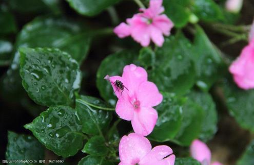 适合雨夜发的朋友圈短句 深夜听雨的心情说说集合29句