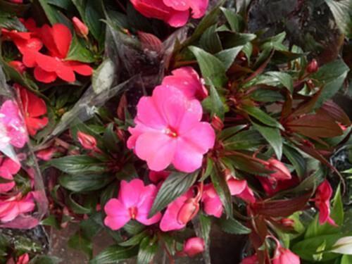 自己对感情失望的句子说说心情