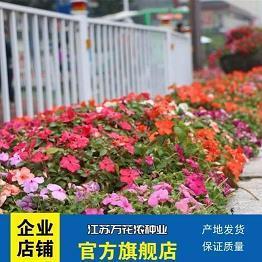 关于冬至的唯美句子精选(精选49句)