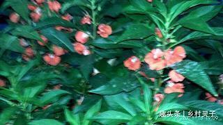 新年第一天激励的语句