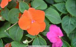 对信任的朋友失望的句子