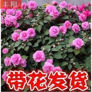在晚上发的说说伤感说说91句