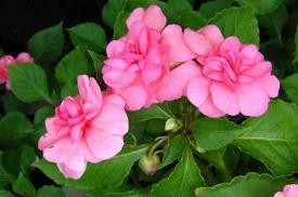 景物描写句子摘抄大全超短 描写景物的优美语句摘抄大全