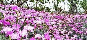 教师节朋友圈短语一句话(精选29句)