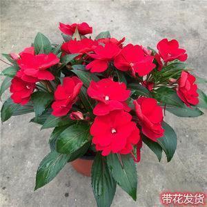 霸气凄凉虐心古风句子 伤感凄美的古风句子(精选72句)