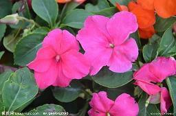 用暖流造句 暖流是什么意思 用暖流的不同意思造句