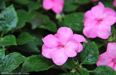 追女生情话最暖心短句给女生精选35句