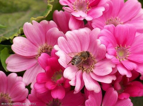 心里说不出来的难受说说 心里难受但不能说的短句子