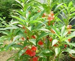 旅游美句子47句