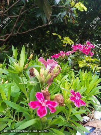 突然一刻心酸的句子 无处诉说心里话的说说49句