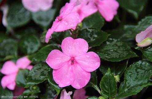朋友圈谷雨说说文案合集63句